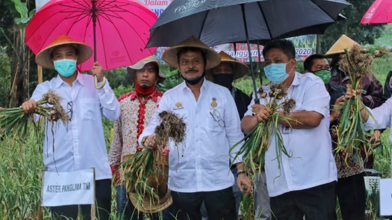 Di Tengah Wabah Corona, Ekspor Pertanian Indonesia Naik Sebesar USD 320 Juta