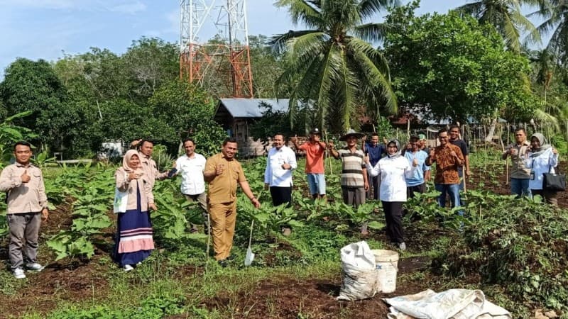 MUI Dorong Dai Masukkan Tema Lingkungan dalam Dakwah di Kawasan Gambut