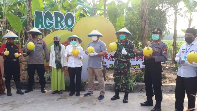 Di Tengah Pandemi Covid-19, Pesantren Al-Rosyid Bojonegoro Panen Buah Melon