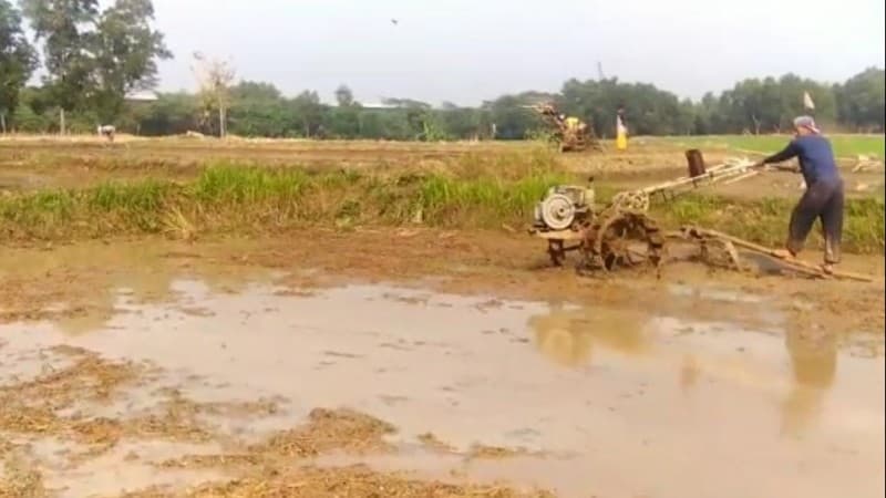 BPS: Data Tunggal Produksi Pangan