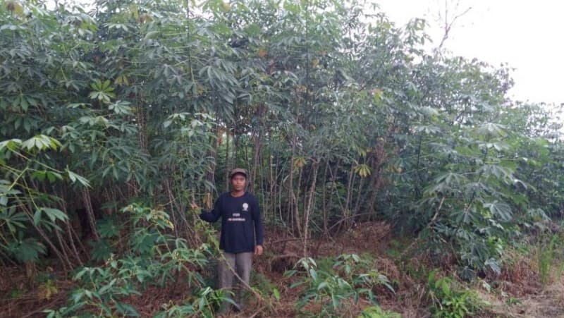 Cara Ustadz Mahmud Kampanyekan Pemulihan Lahan Gambut 