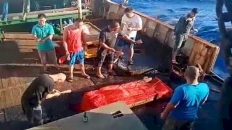 Soal ABK Dilarung ke Laut, Harus Investigasi sesuai Hukum Internasional