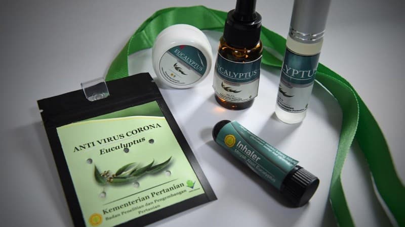 Kementan Luncurkan Antivirus Corona Berbahan Eucalyptus