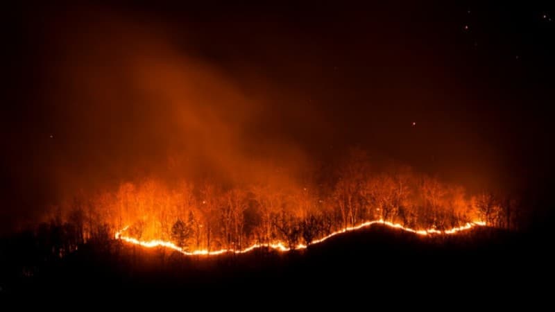 Guru Besar IPB Ingatkan Potensi Kebakaran Gambut di Musim Kemarau