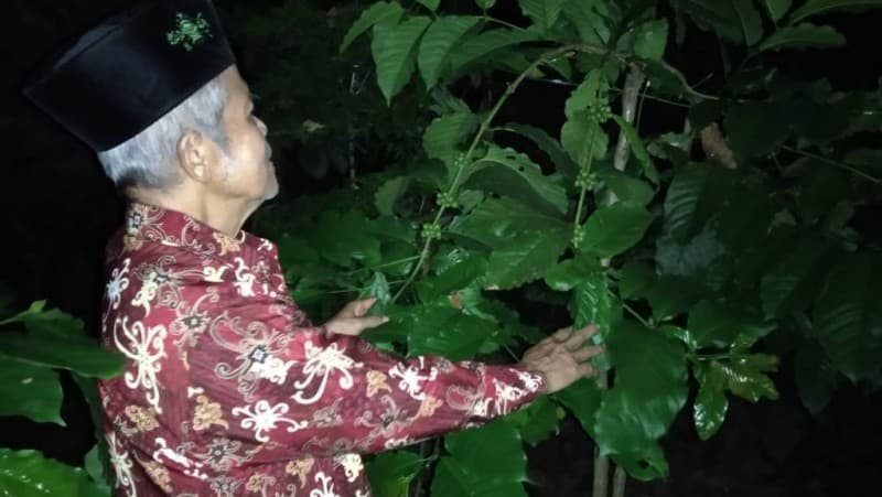 H Abdul Mukti, Kiai Penggerak Kopi