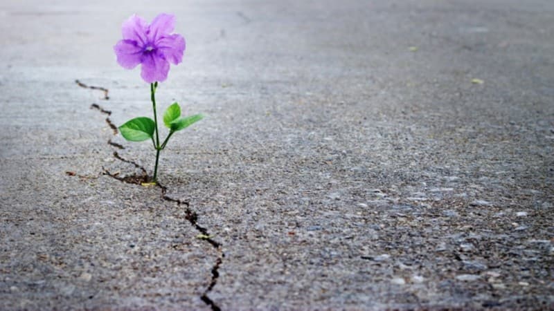 Alam Semesta adalah Simbol Keberadaan Umat Manusia