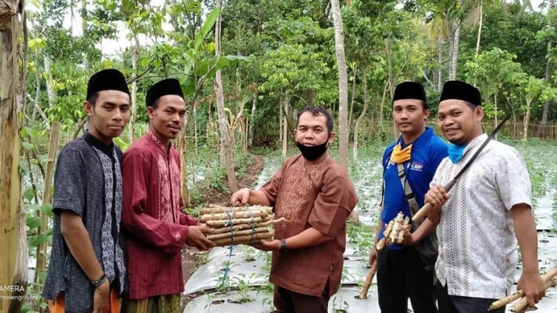 Jaga Ketahanan Pangan, Satgas NU NTB Bantu Bibit Singkong