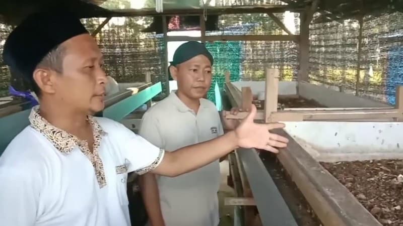 Di Pesantren Ini, Lalat Bawa Manfaat Ubah Sampah Jadi Berkah
