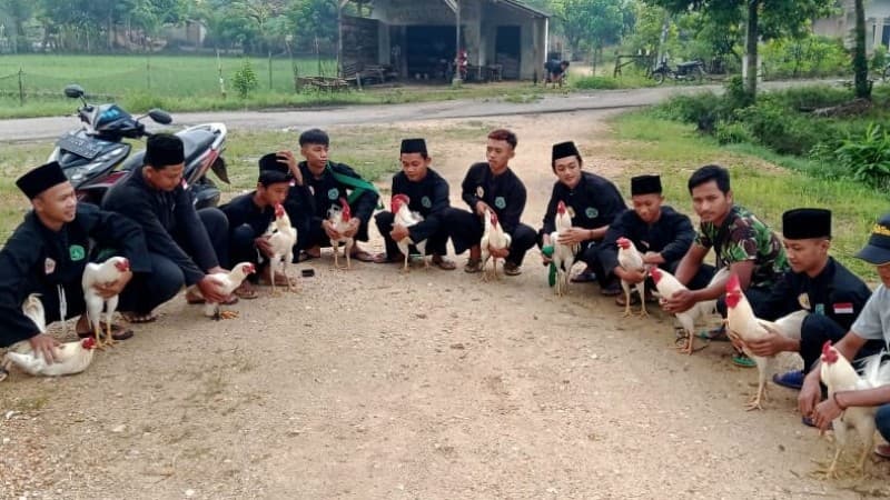 Penyembelihan Ayam Putih Tandai Wisuda Santri Pagar Nusa Ambarawa