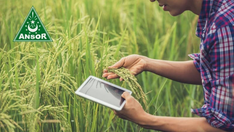 Di Tengah Pandemi, GP Ansor Terus Kawal Kedaulatan Petani