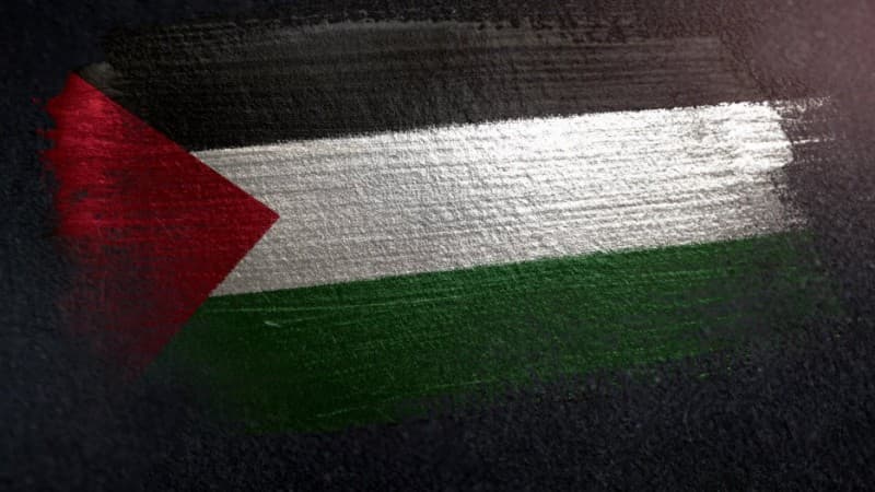 Peneliti Jewish Studies Ungkap Peluang NU untuk Bantu Palestina