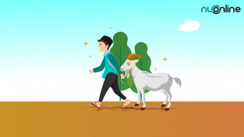 Seberapa Banyak Pekurban Boleh Mengonsumsi Daging Kurbannya?