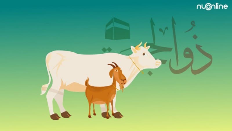 Status Hewan Kurban dari Non-Muslim