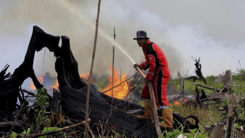 BRG Ingatkan Bahaya Karhutla bagi Kesehatan Masyarakat