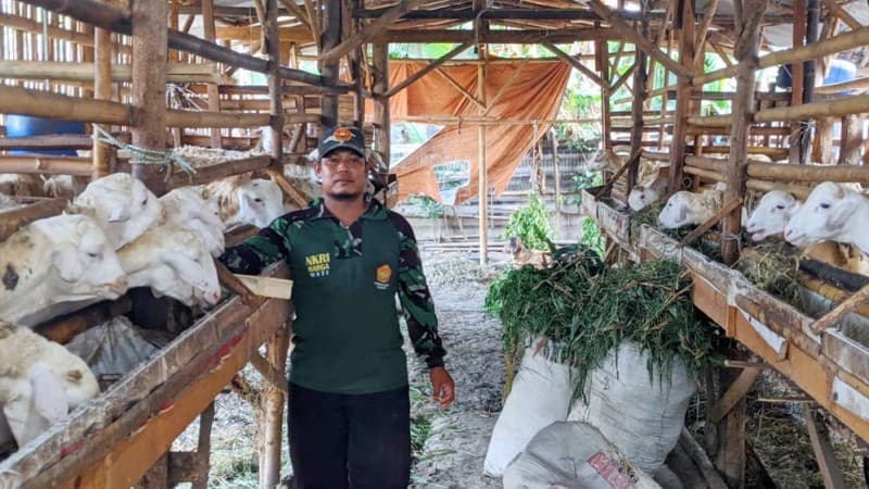Khidmah di Banser, Wito Tak Lupa Kewajiban Hidupi Keluarga dengan Ternak Kambing