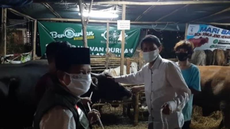 Meski Pandemi, Penerimaan Hewan Kurban oleh NU Care-LAZISNU Meningkat