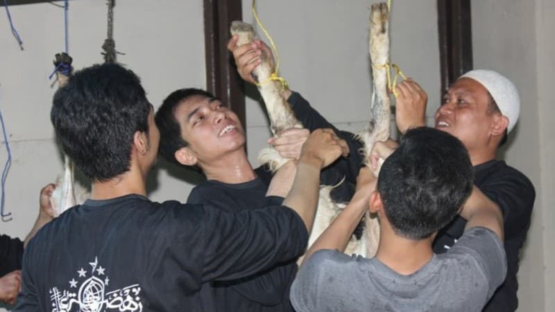 Hukum Jual Kulit Hewan Kurban