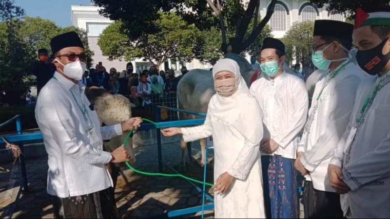 Penyembelihan Hewan Kurban NU Jatim Patuhi Ketentuan Pemerintah