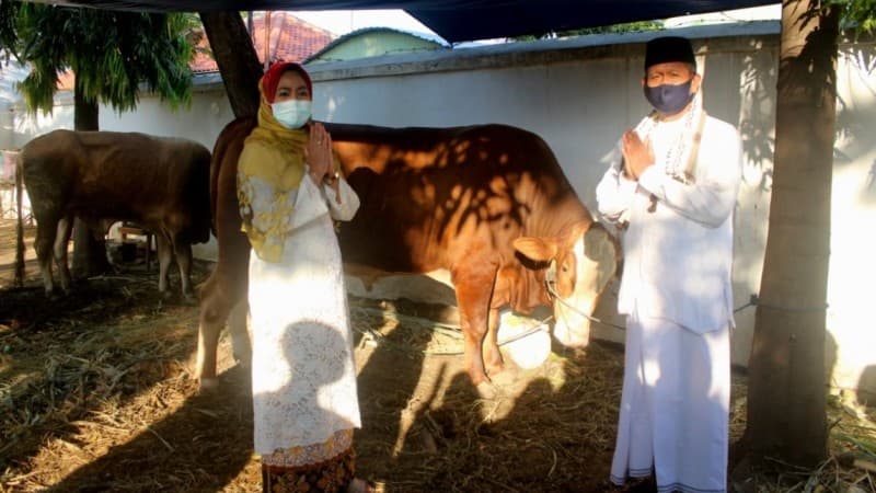 Bupati Brebes Serahkan Kurban Tiga Sapi dan Satu Kerbau