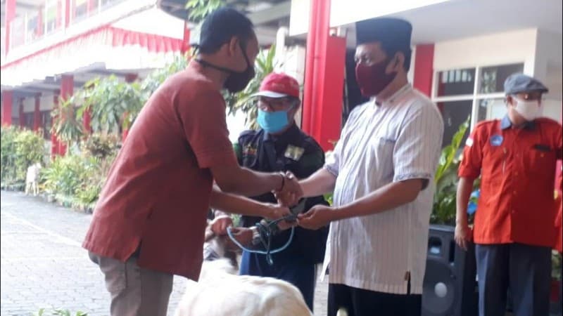 Bentuk Karakter Peduli, Sekolah Nasima Semarang Kurban 69 Kambing dan 1 Sapi