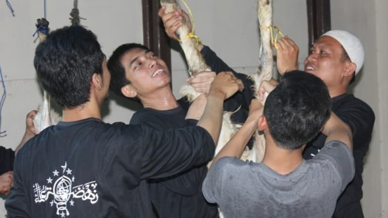 Orang Mampu tapi Tidak Berkurban menurut Hukum Islam