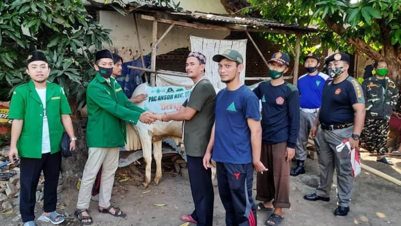 15 Tahun Ansor Banser Jepara Rutin Berkurban dan Berbagi untuk Sesama