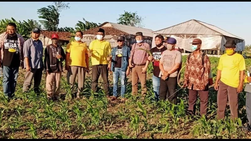 Lembaga Pengembangan Pertanian NU Jatim Tangani Hama Tikus