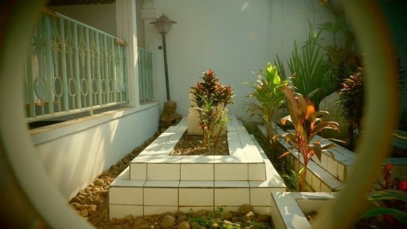 Ngipas-ngipasi Kuburan Istri Setiap Hari