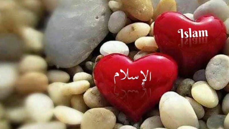 Dakwah Islam Ramah Perlu Diterapkan di Prancis