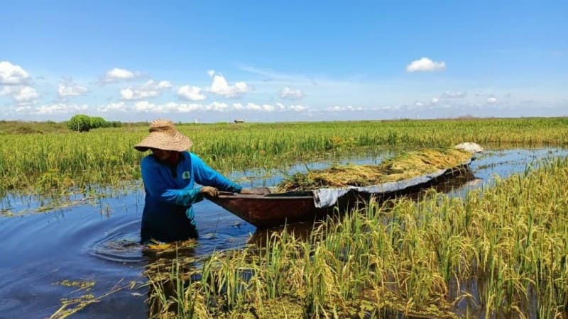Salasiah, Pahlawan Keluarga Masa Kini dari Kalimantan Selatan