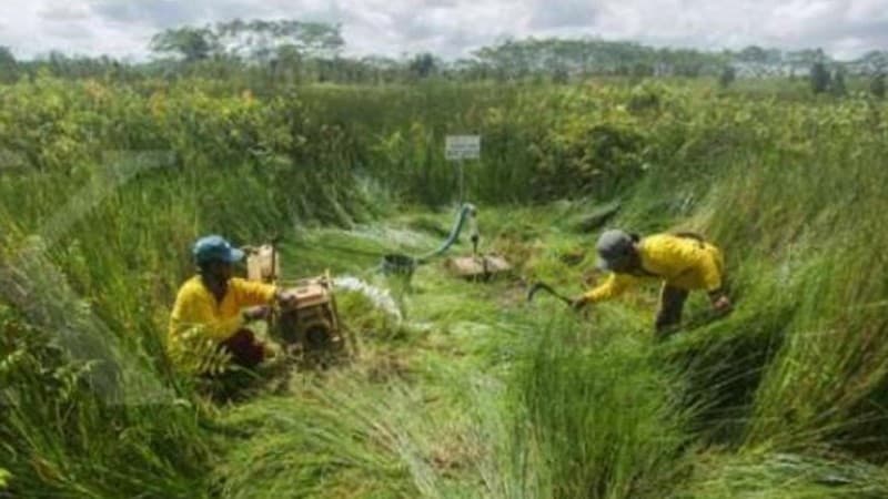 BRG Wujudkan Impian Warga Jambi Dapatkan Air Bersih dengan Mudah