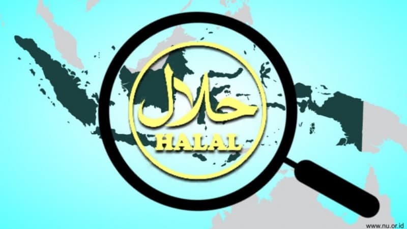 Logistik Halal Penting Diperhatikan di Tengah Pandemi, Begini Caranya