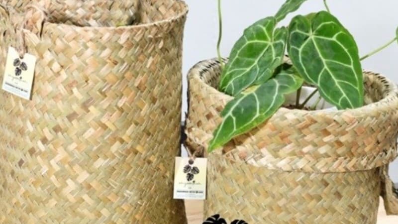 Program BRG di Pulantani Kalsel Tingkatkan Produktivitas Anyaman Purun