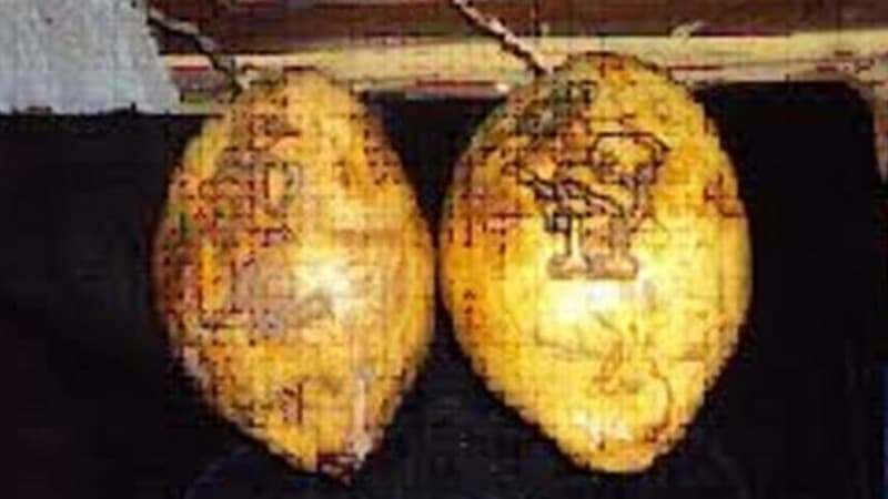 Korelasi Tradisi Nebus Weteng dan Naskah Serat Murtasiyah Cirebon 