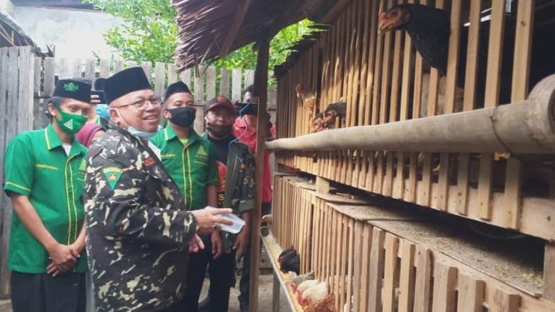 Badan Usaha Ansor Bolmut Sediakan Ayam Kampung