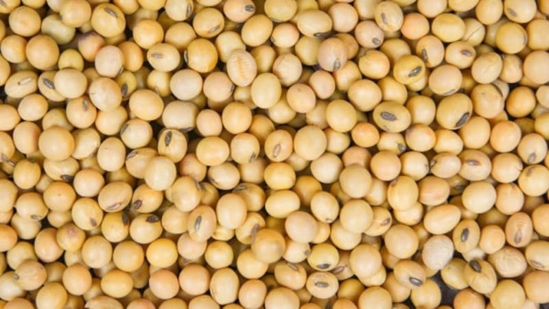 Lembaga Pertanian NU Minta Pemerintah Konsisten Berdayakan Petani Kedelai