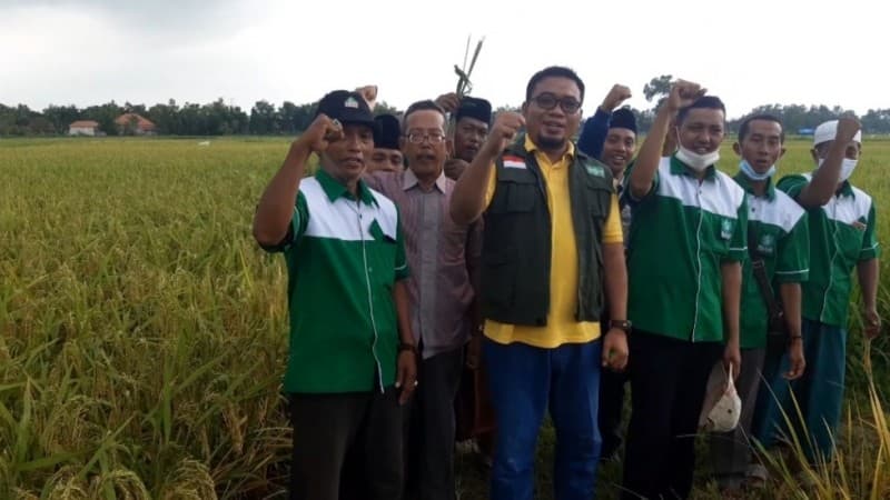Kesuksesan LPPNU Jatim Budi Daya Padi dengan Pupuk Organik