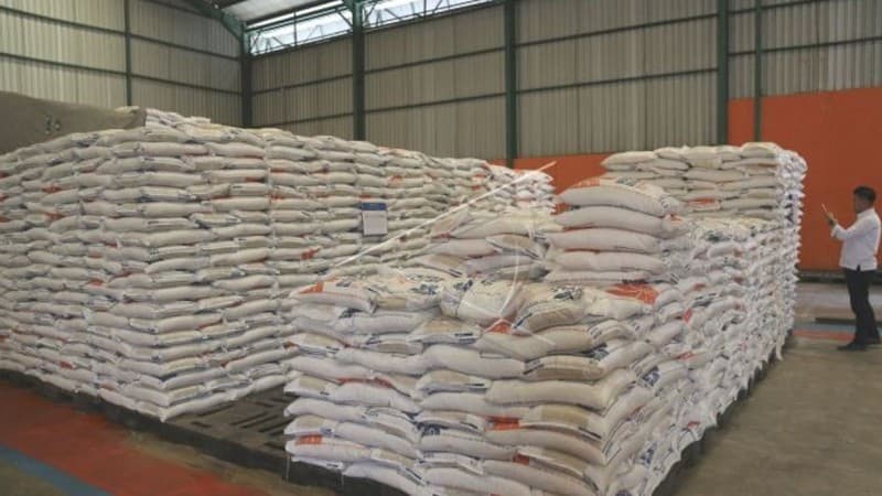 Rencana Impor Beras Resahkan Petani