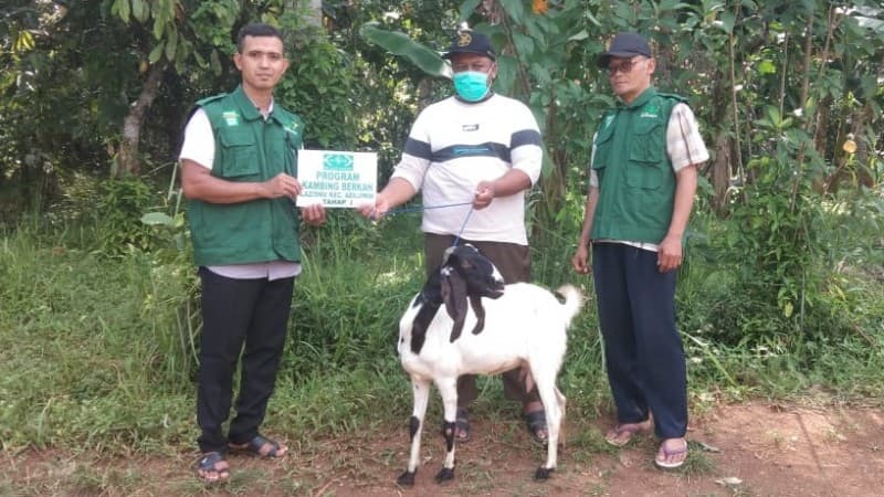 LAZISNU Adiluwih Pringsewu Luncurkan ‘Kambing Berkah’