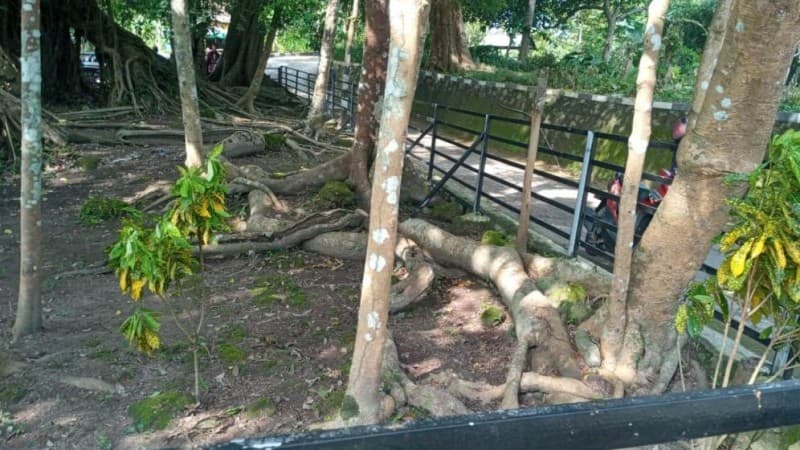 Nyadran di Makam Prajurit Pangeran Diponegoro