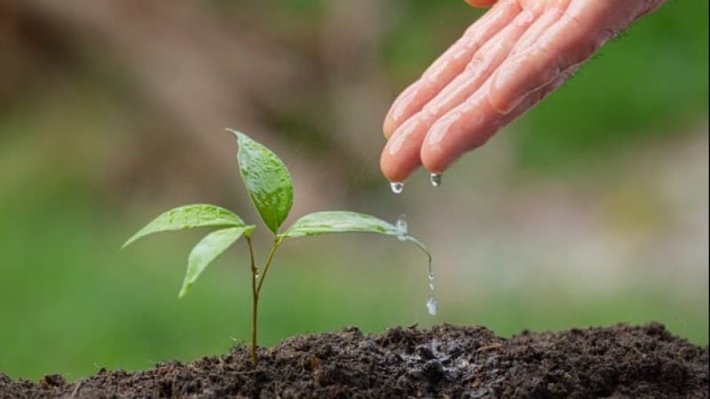 Kelestarian Lingkungan Harus Menjadi Perhatian Bersama