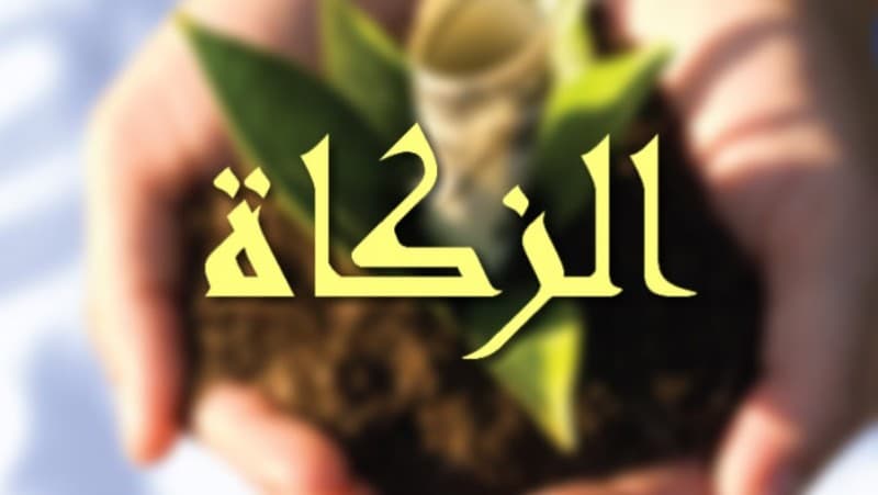 Hukum Menyalurkan Zakat ke Tanah Air