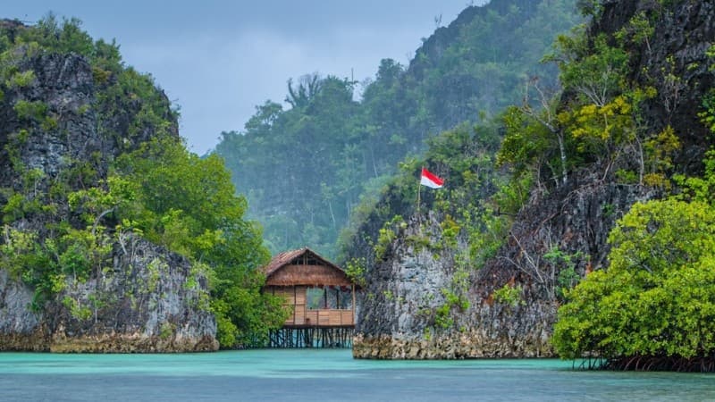 Mencari Titik Temu dalam Persoalan Papua