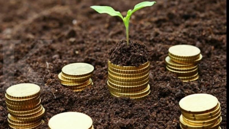 Pemerintah Ajak Galakkan Wakaf Uang