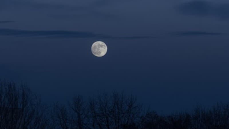 Sekretaris NU Pidie Jaya Tegaskan Idul Fitri Momentum Rohani untuk Pencerahan Diri