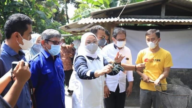 Dari Nila dan Lobster, Menaker Kesengsem Lihat Warga Tasik Bertahan di Masa Pandemi