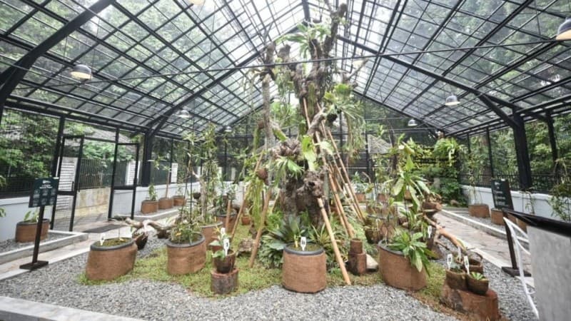 Kolaborasi Pertamina-LIPI Lestarikan Flora, Jaga Emisi Karbon di Kebun Raya Bogor