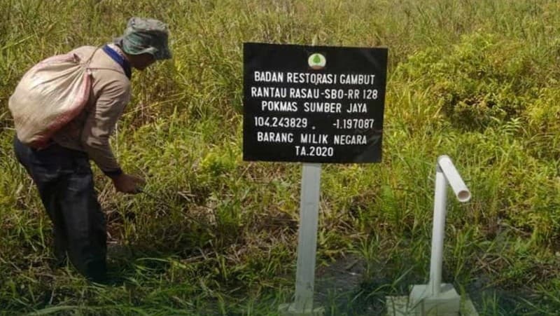 Tujuan Restorasi Gambut Perbaiki Perilaku Sosial dan Praktik Ekonomi