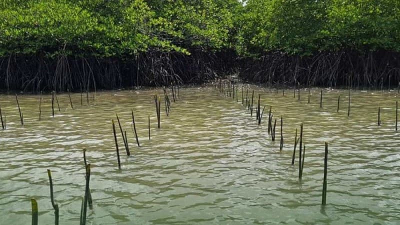 Musisi Nugie: Pemandangan Indah di Film Harus Sama dengan Aslinya