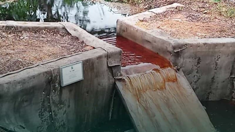 10 Kegiatan Rehabilitasi Mangrove Berbasis Pembangunan Perdesaan